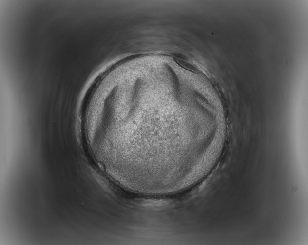 X0000086230342200704191804