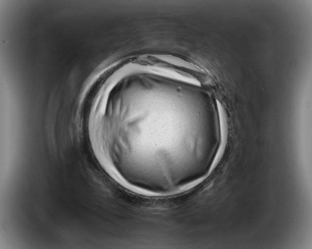 X0000086230343200704191804