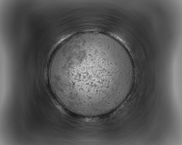 X0000086230345200704191804