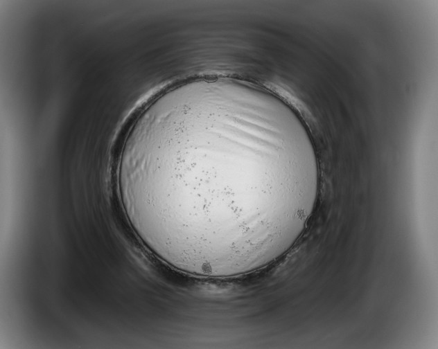 X0000086230346200704191804