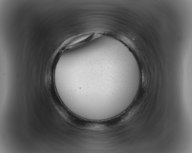 X0000086230348200704191804