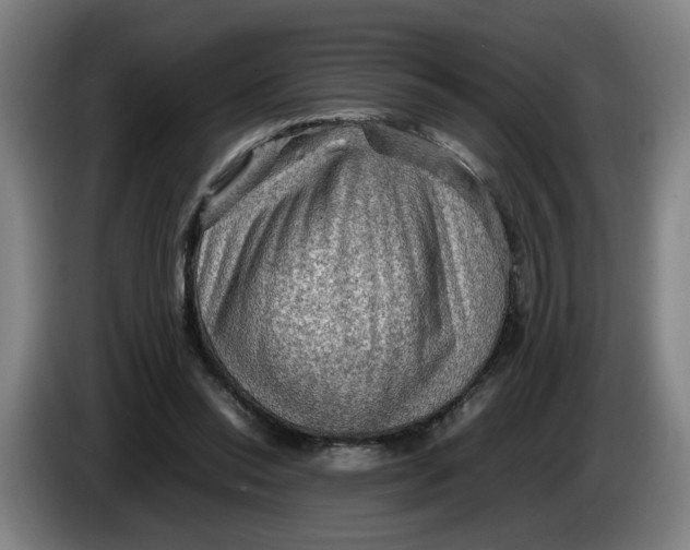 X0000086230350200704191804