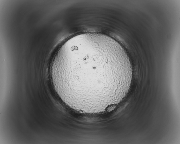 X0000086230351200704191804