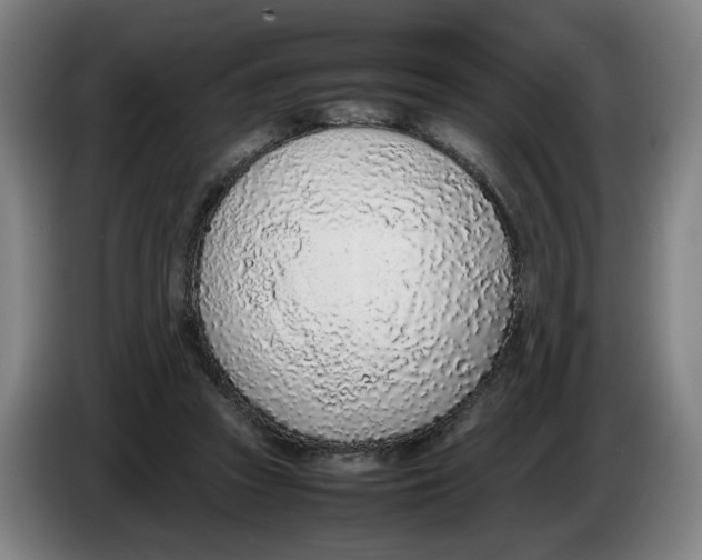 X0000086230353200704191804