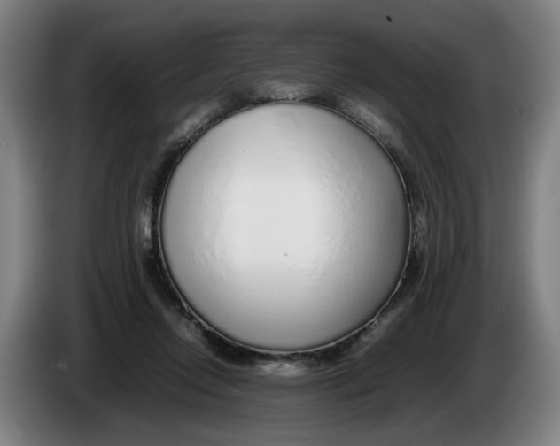 X0000086230358200704191805