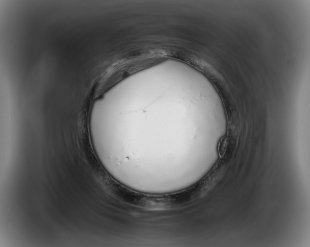 X0000086230359200704191805