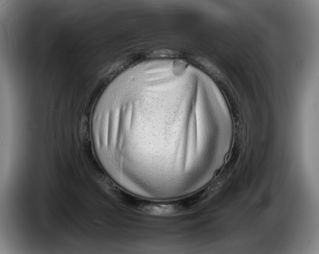 X0000086230361200704191805