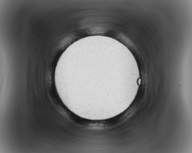 X0000086230362200704191805