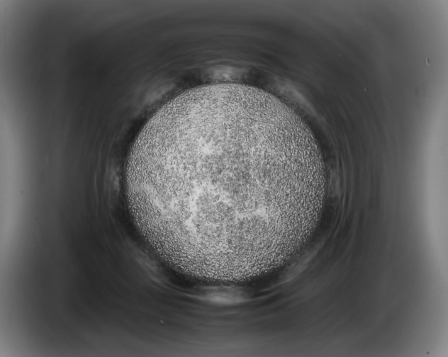 X0000086230363200704191805