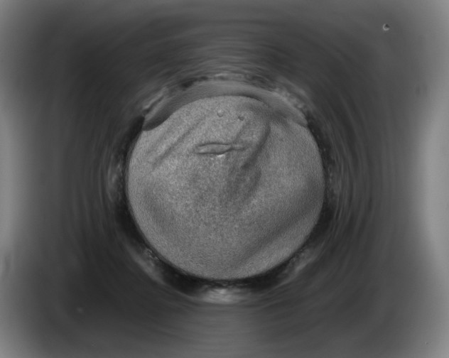 X0000086230364200704191805