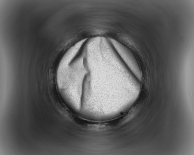 X0000086230366200704191805