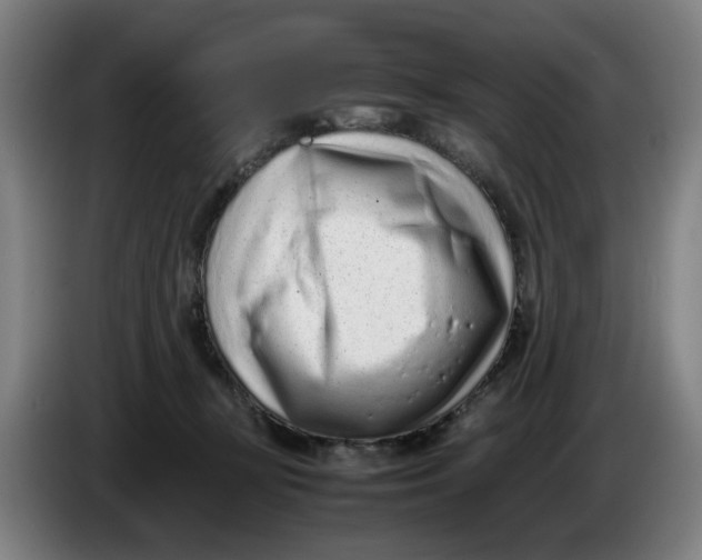 X0000086230367200704191805