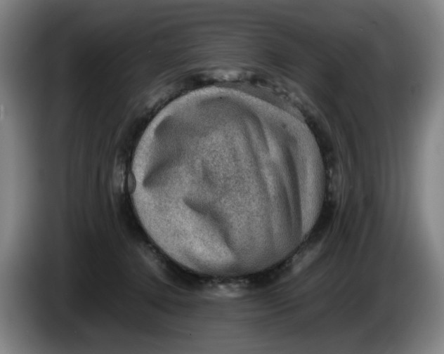 X0000086230368200704191805