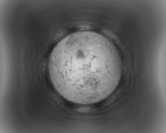 X0000086230369200704191805