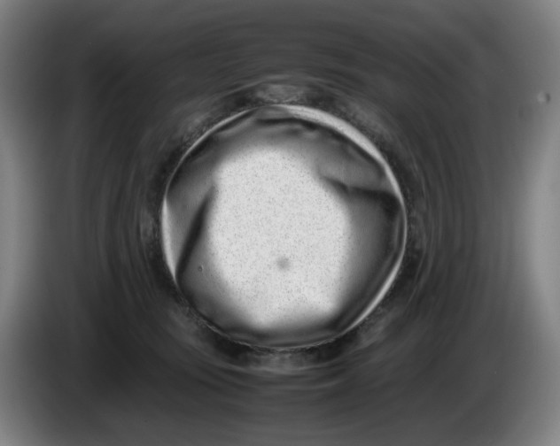 X0000086230371200704191805