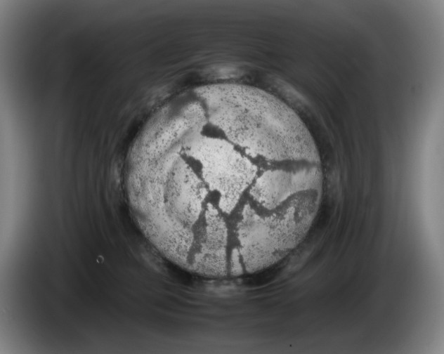 X0000086230373200704191805