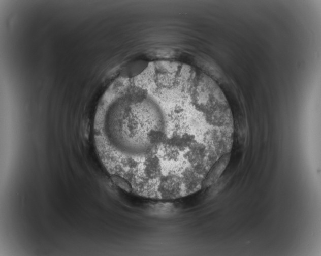 X0000086230374200704191805