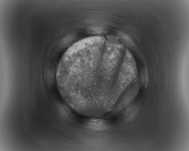 X0000086230376200704191805