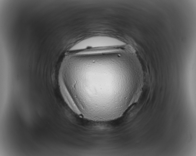 X0000086230377200704191805