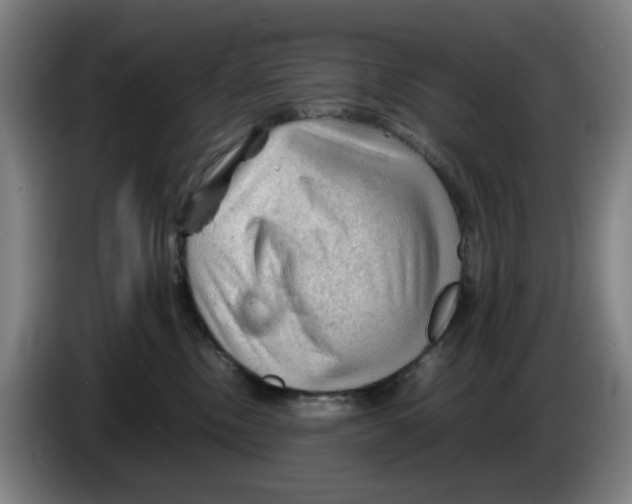 X0000086230378200704191805