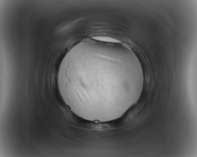 X0000086230379200704191805