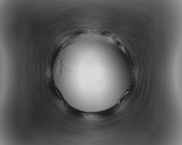 X0000086230380200704191805