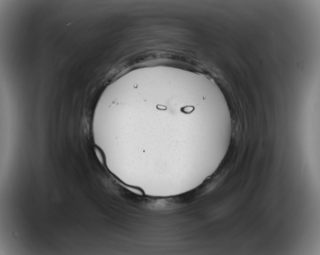 X0000086230382200704191805