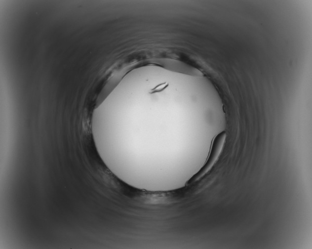 X0000086230384200704191805