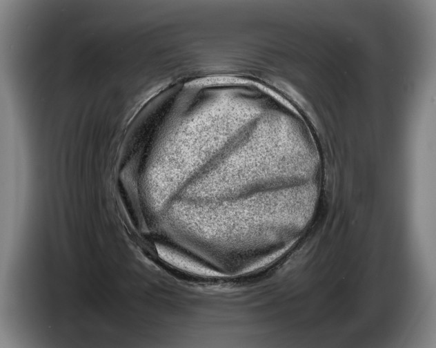 X0000086230385200704191804