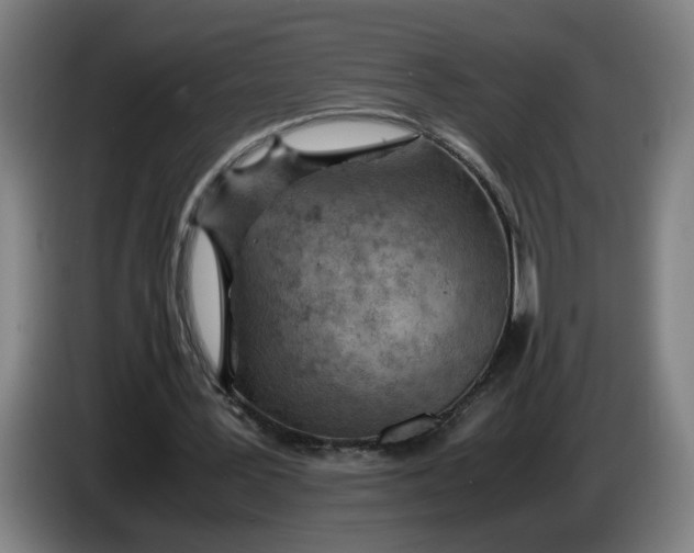 X0000086230387200704191804