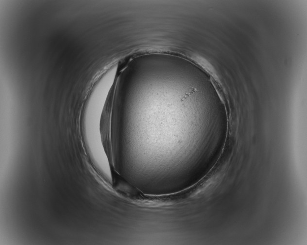 X0000086230389200704191804