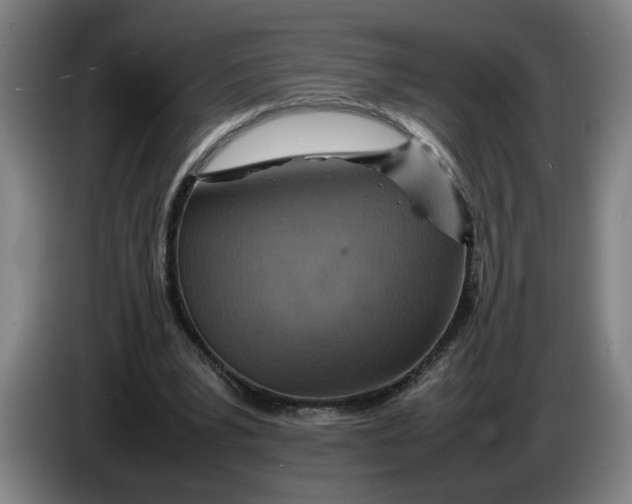 X0000086230391200704191804