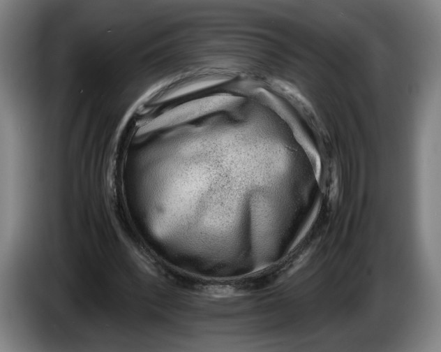 X0000086230392200704191804