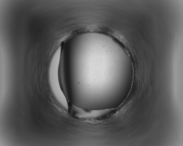 X0000086230393200704191804