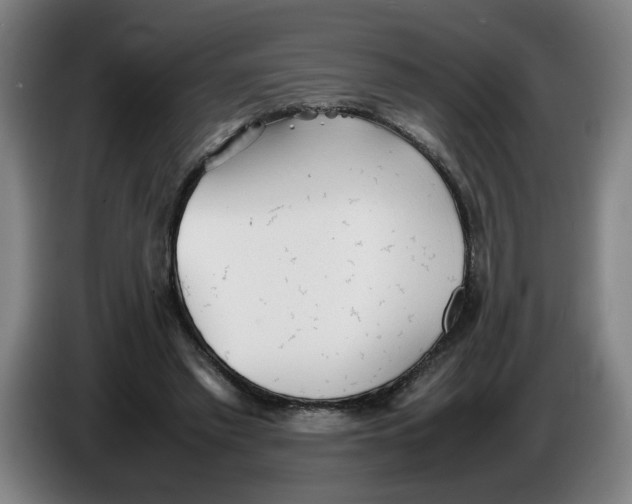 X0000086230397200704191804