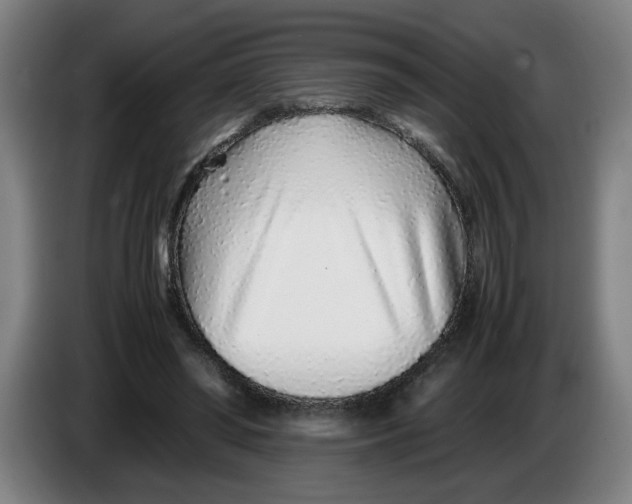 X0000086230398200704191804