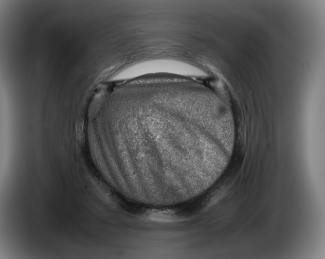 X0000086230403200704191804