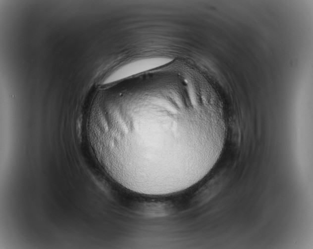 X0000086230404200704191804