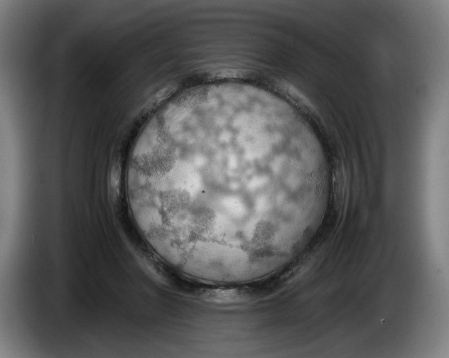 X0000086230406200704191804