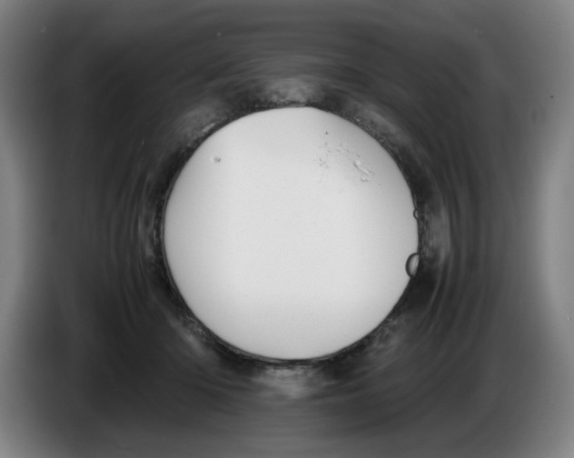 X0000086230414200704191804