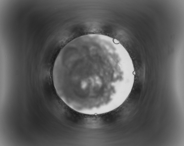 X0000086230415200704191804