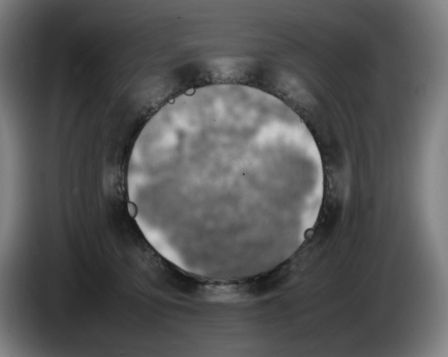 X0000086230419200704191804