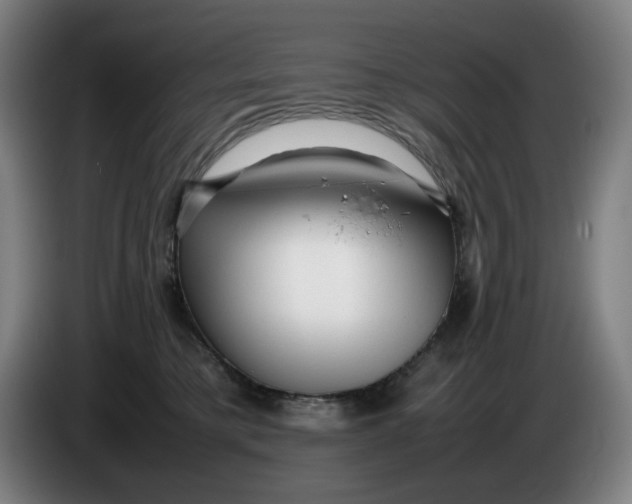 X0000086230421200704191804