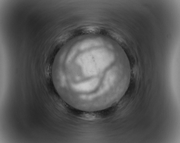 X0000086230423200704191804