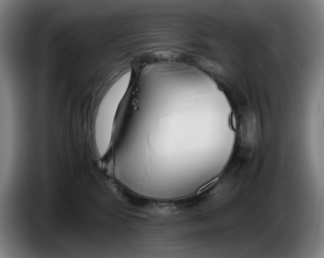 X0000086230424200704191804