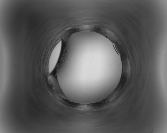 X0000086230425200704191804