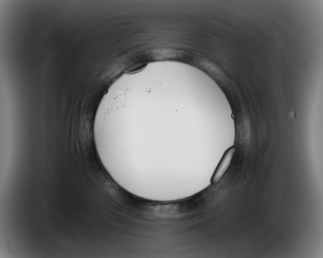 X0000086230426200704191804