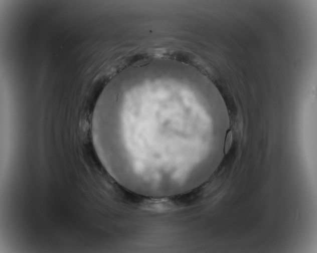 X0000086230427200704191804