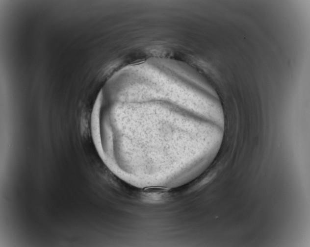 X0000086230432200704191804