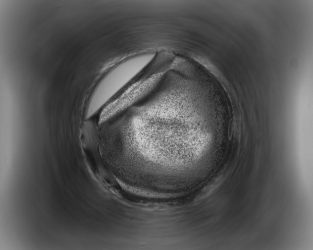 X0000086230434200704191803